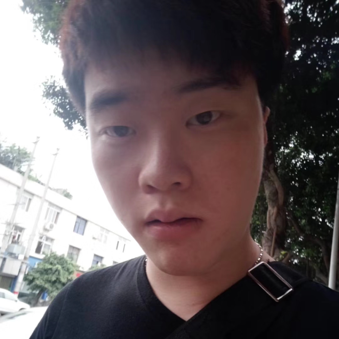 雅漾醵的照片