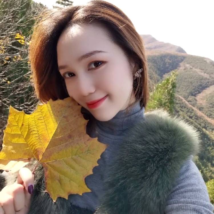 甜味橙子的照片