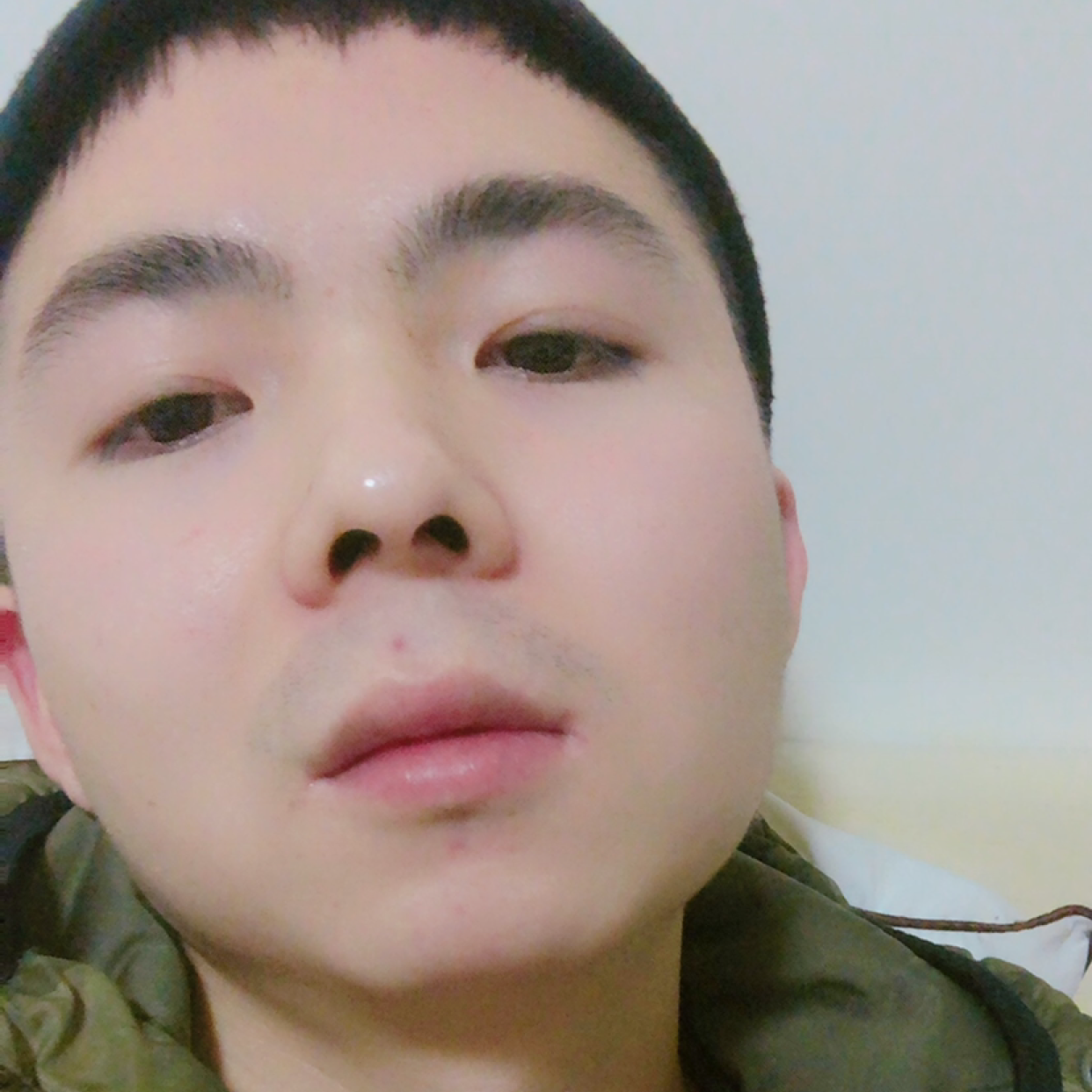小熊猫倾心儒雅的照片