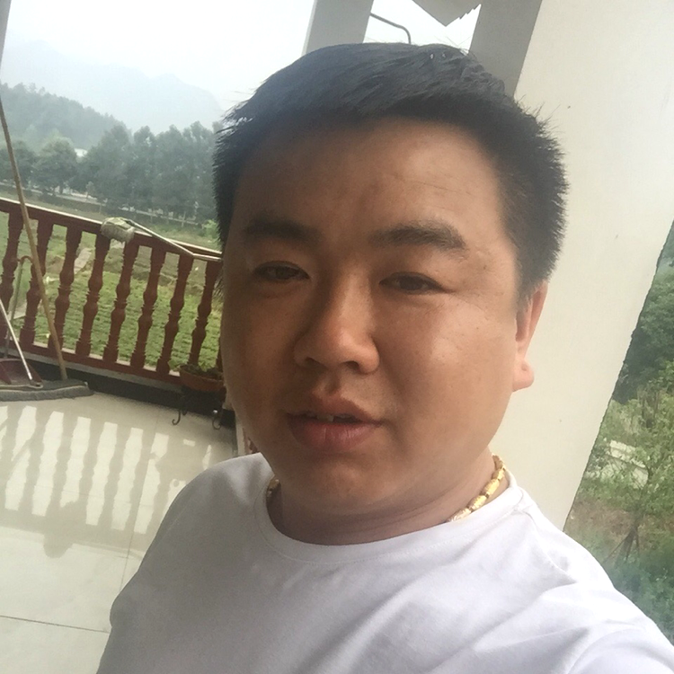 长颈鹿绵密的照片