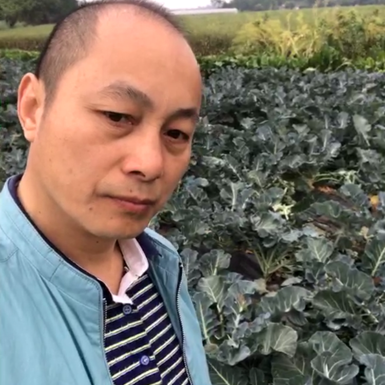 藏獒多吉的照片
