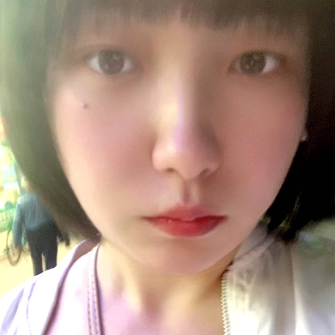 相似de雨林的照片