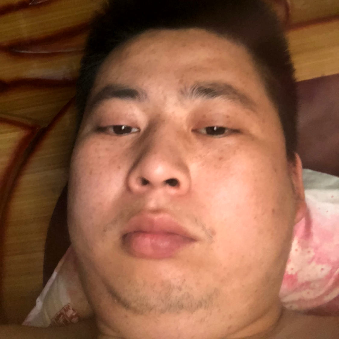 樱桃演变自然的照片