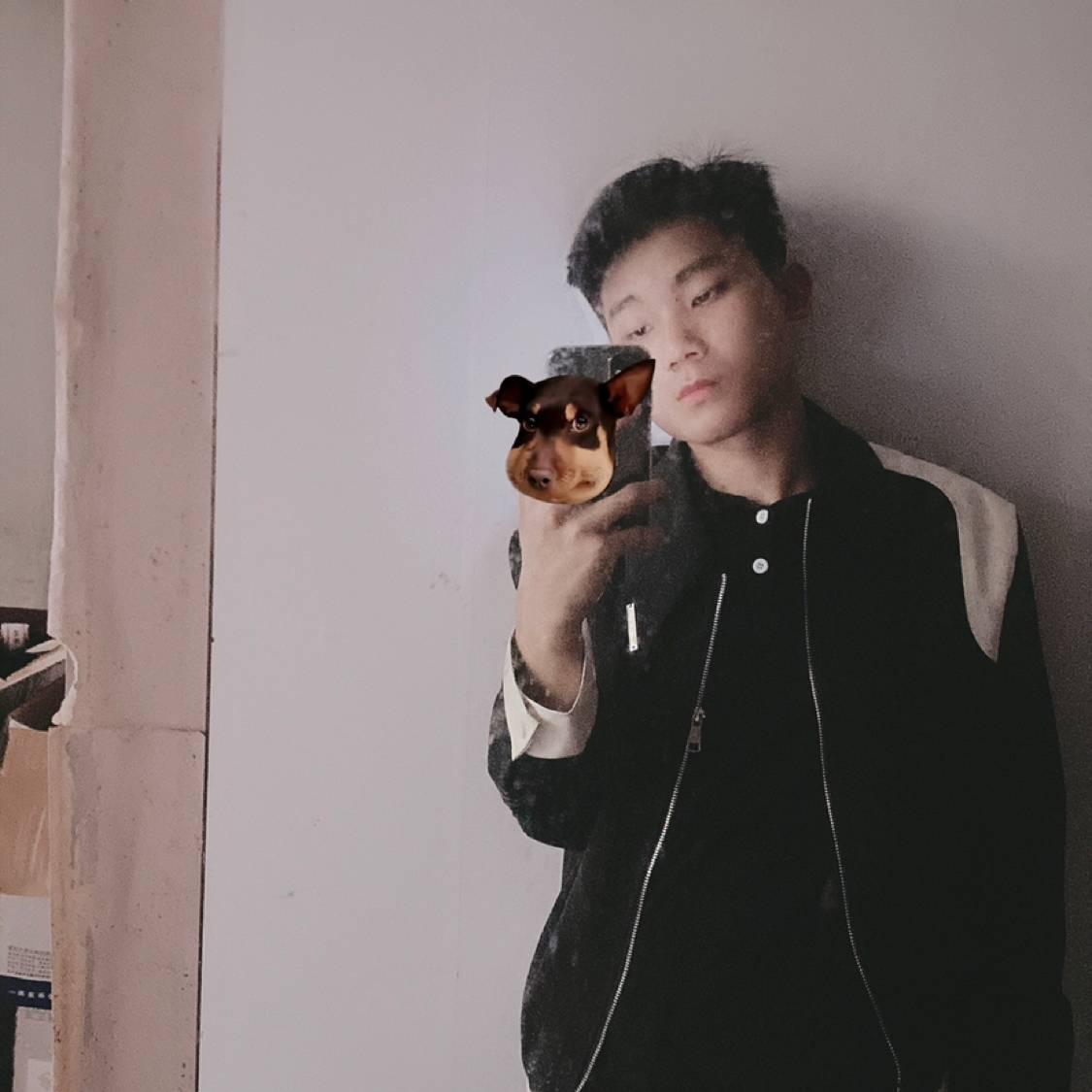 老虎扯和谐的照片