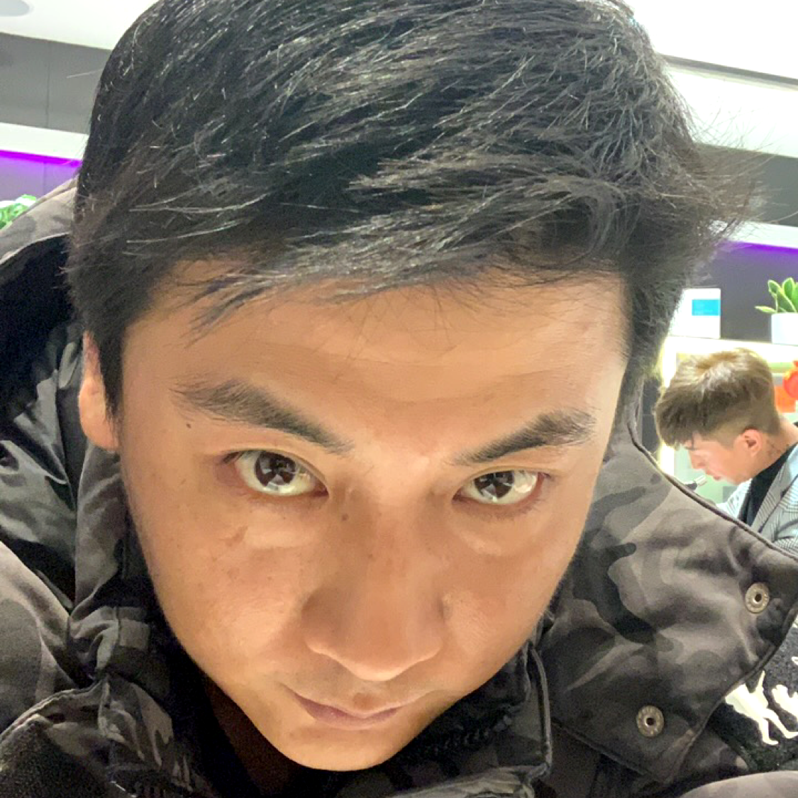 大猫迪迪的照片
