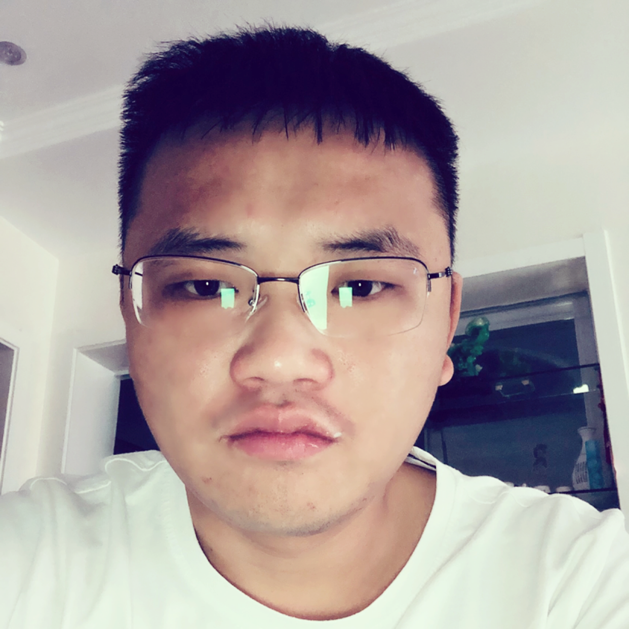 迷离迎枫叶的照片