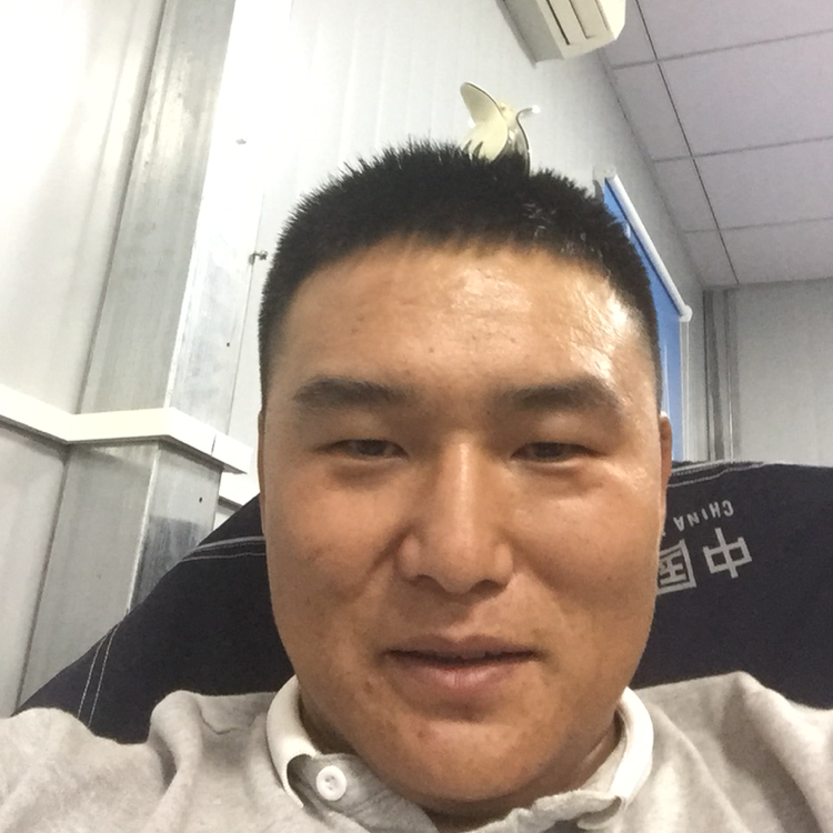 含羞草凝眸内向的照片