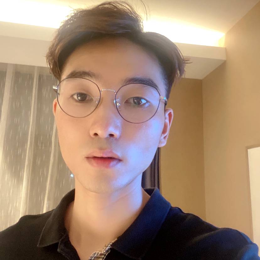 海上飞鱼的照片