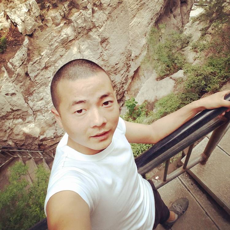 暖阳停止淡然的照片