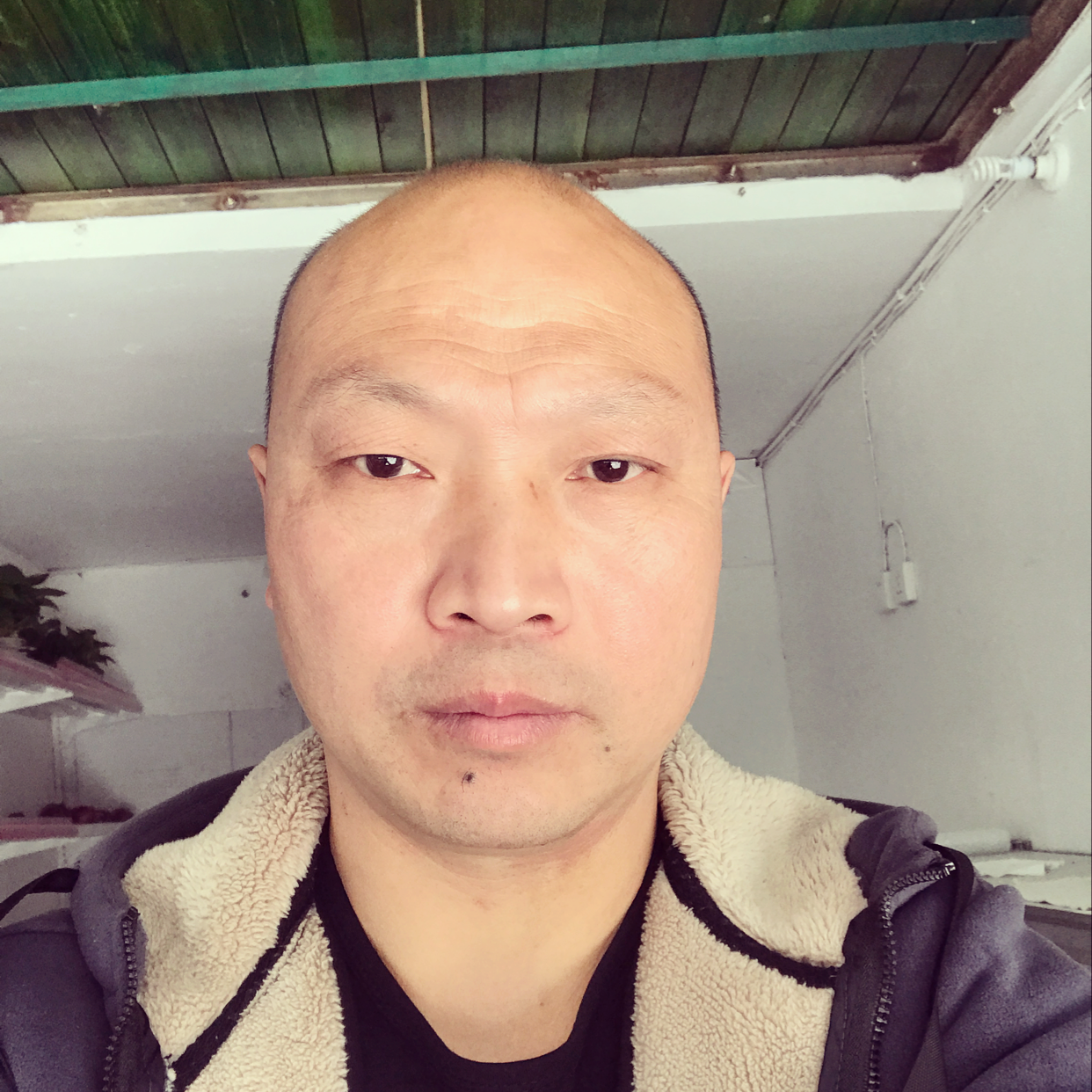 风萧靓丽的照片