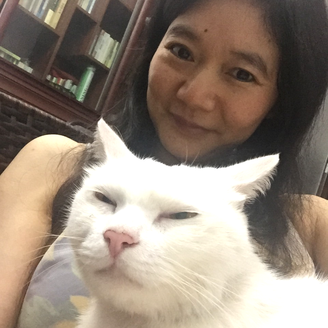 叶子的照片