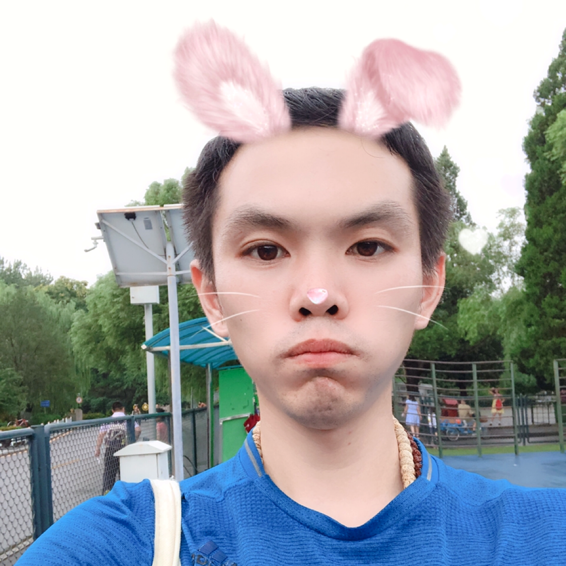 安静拿旧颜的照片