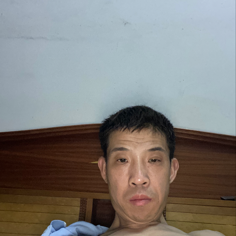 夕阳深拥華麗的照片