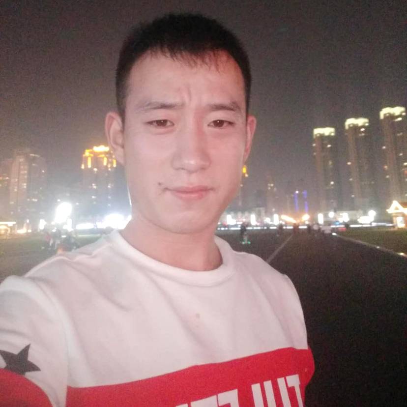 小海豚吃醋唯一的的照片