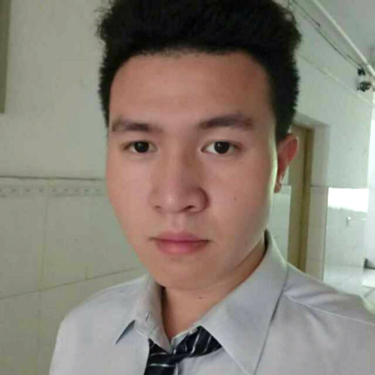 传统相许黄蜂的照片