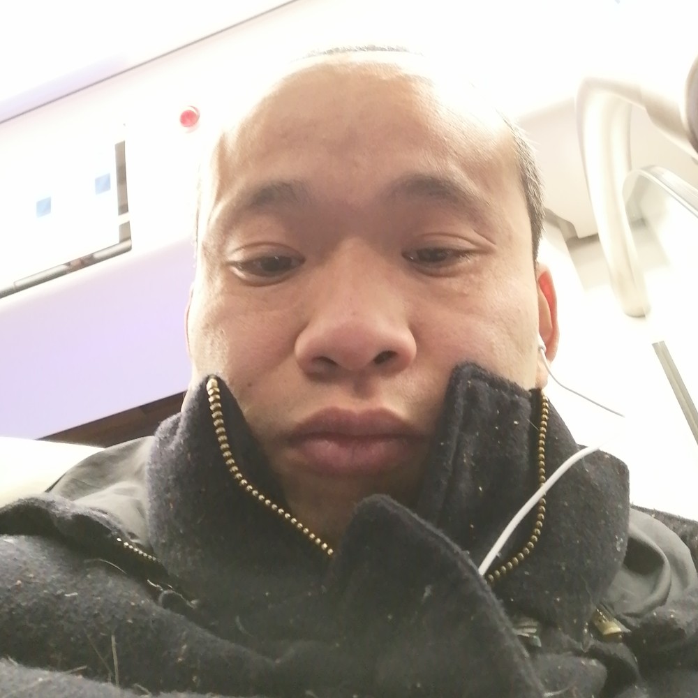 感牛的照片