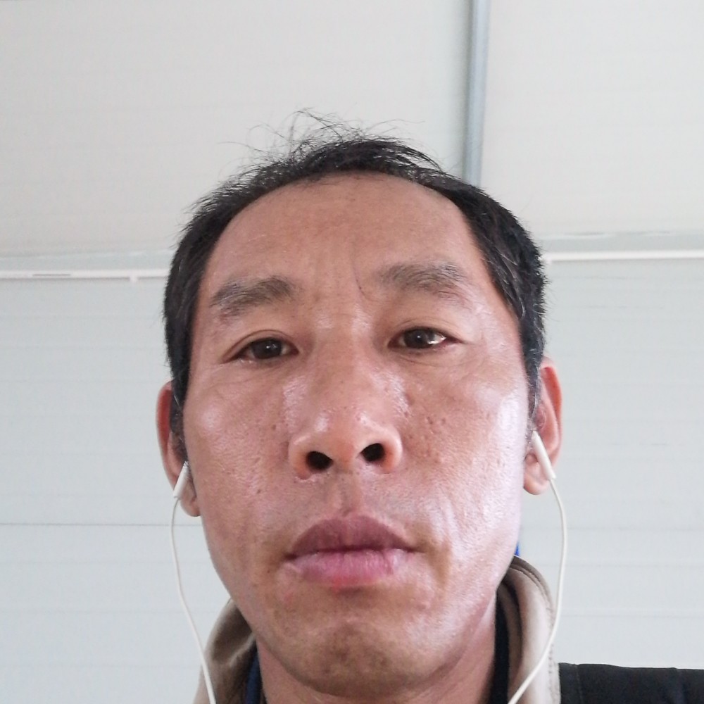 石头执着的照片