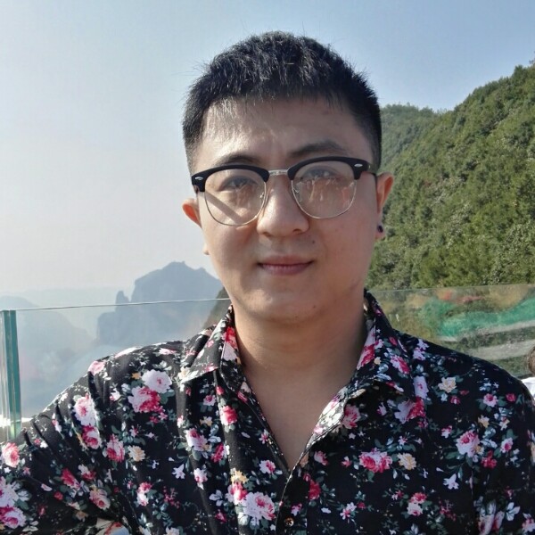 不偷腥的家猫的照片