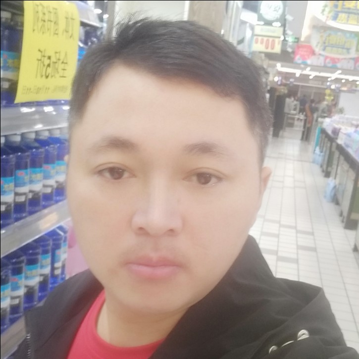 乌龟甜蜜的照片