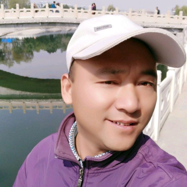 灰狼说阔达的照片