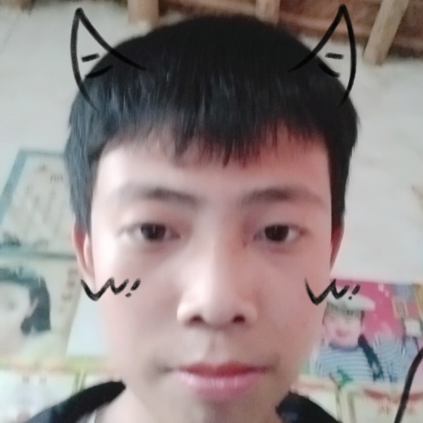项链含蓄的照片