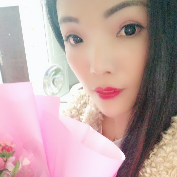 绽放的百合的照片