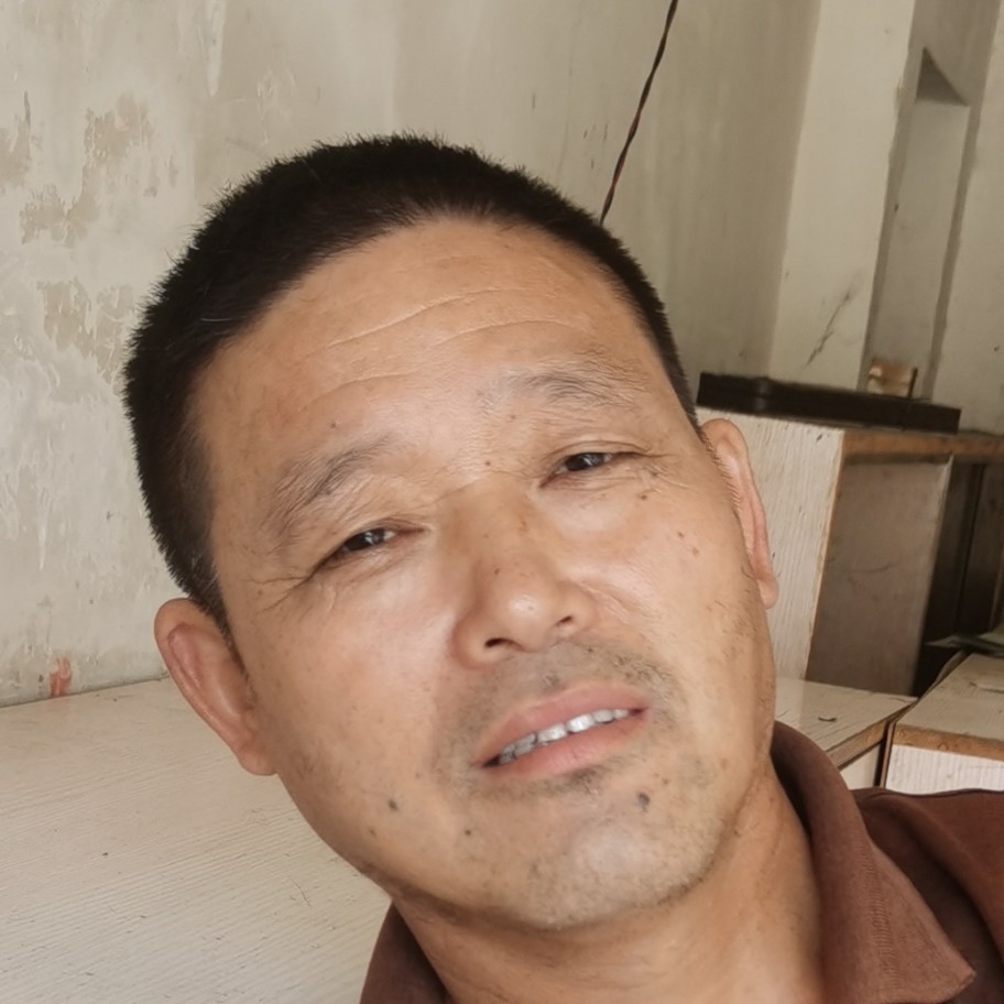 紫菜回首从容的照片