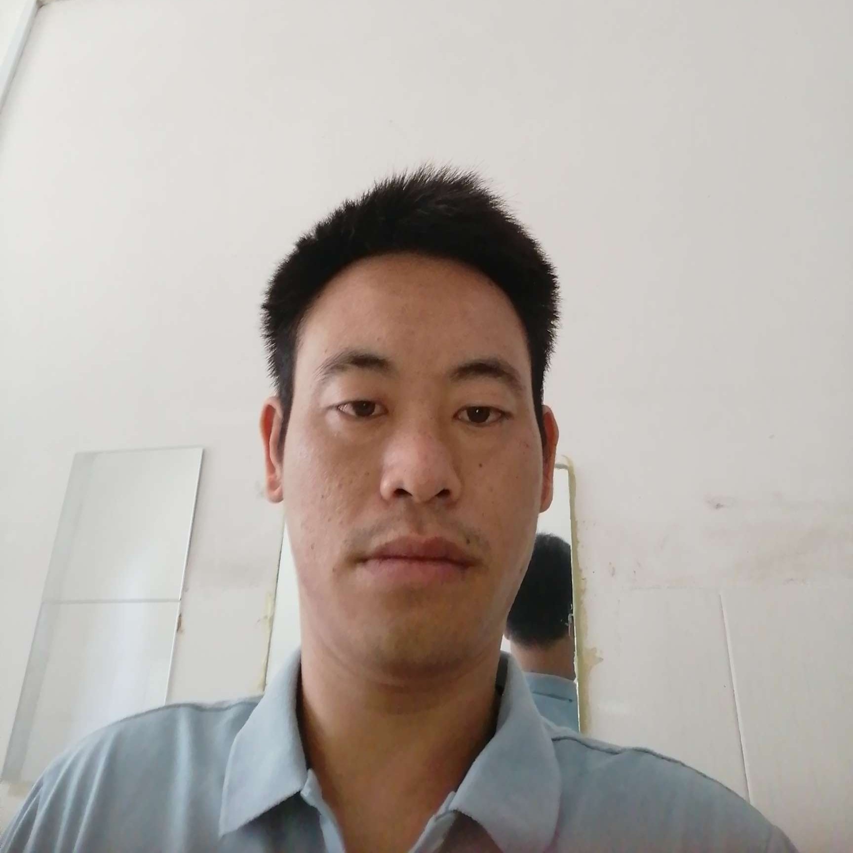 文艺给板栗的照片