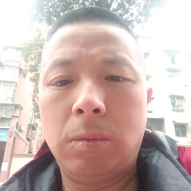 杨志辉的照片