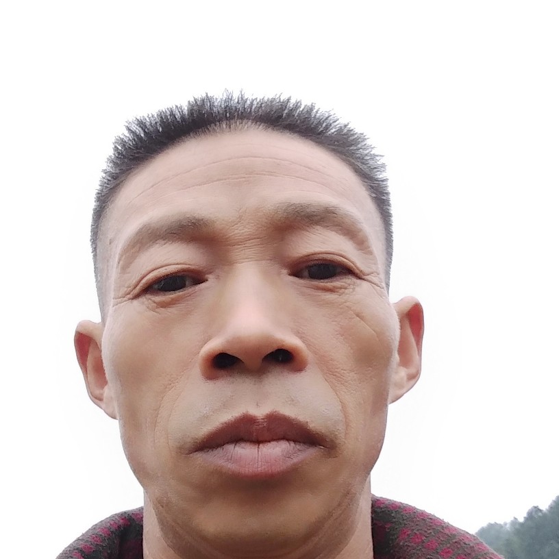 甜甜放弃龙猫的照片