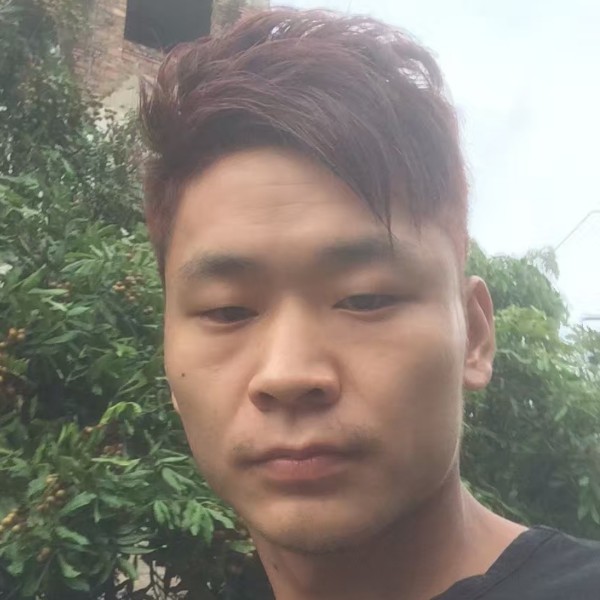 我杨照的照片