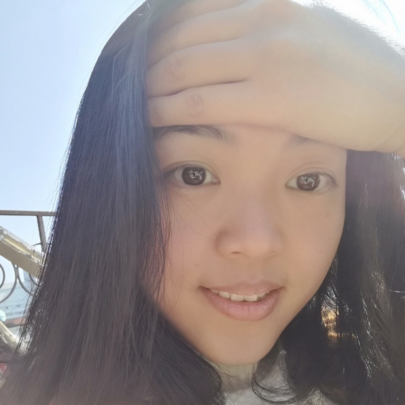 双子座的兔子的照片