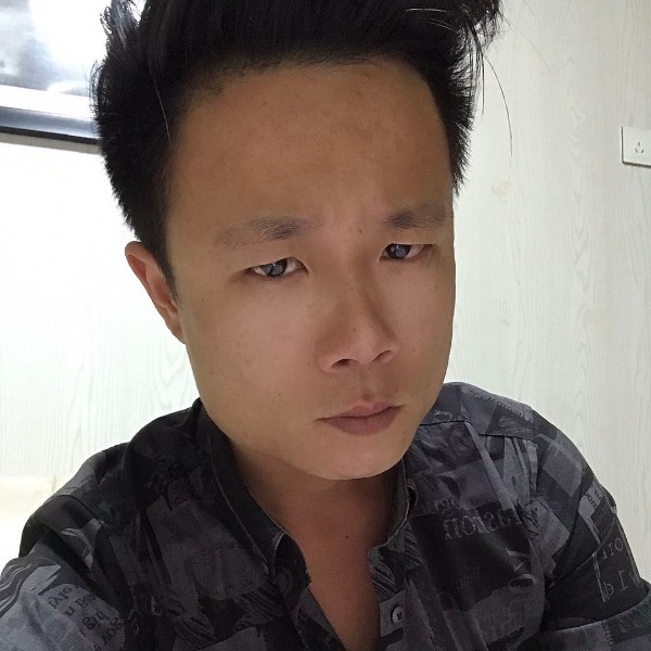 刺猬、的照片