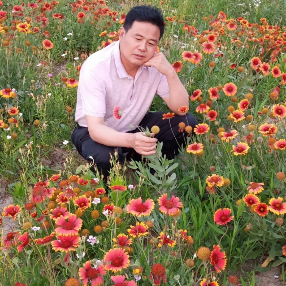 拥抱阳光～简～爱的照片