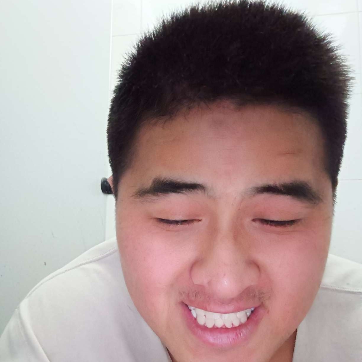 优秀大炮3的照片