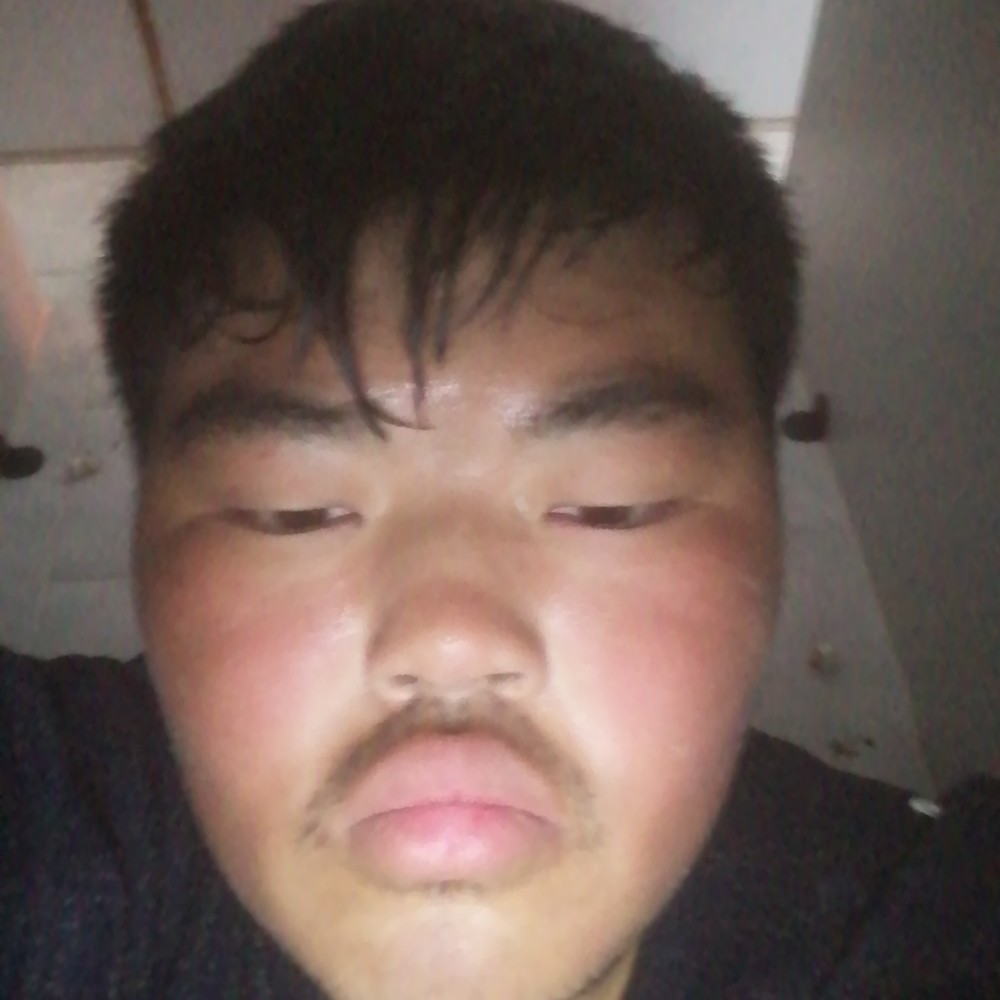 专一演变羽毛的照片