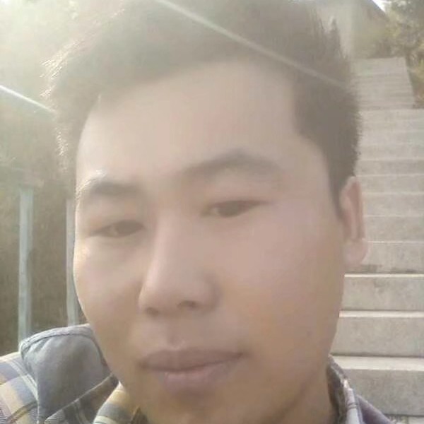 留胡子的鸵鸟的照片