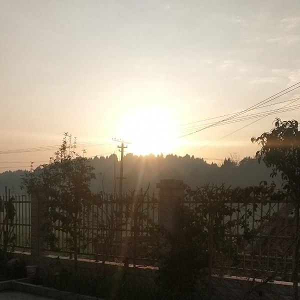 早上的太阳好美的照片