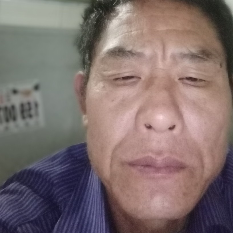 王全章苦命人的照片
