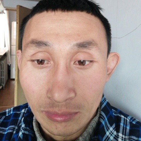 红牛激动的照片