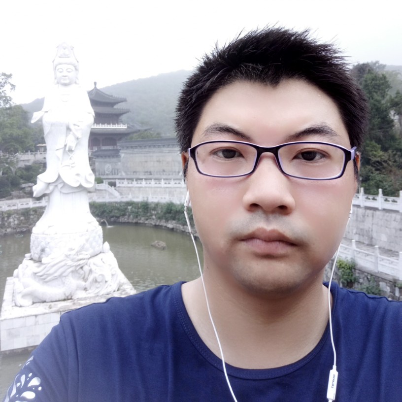 菠萝聪慧的照片