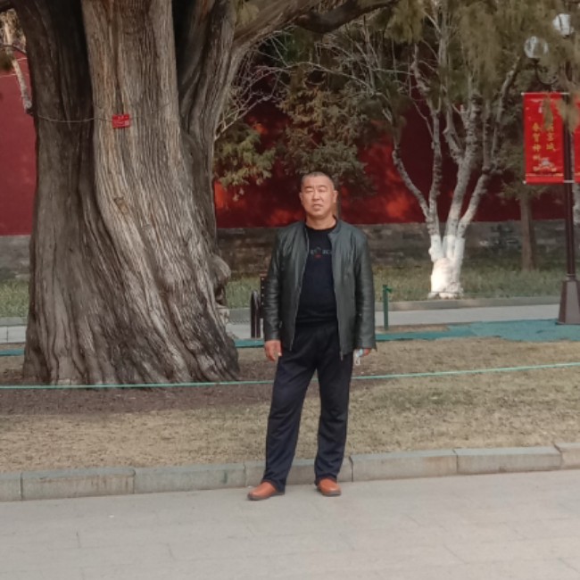 丰富漫步犀牛的照片