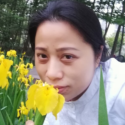 唯美主义★的照片