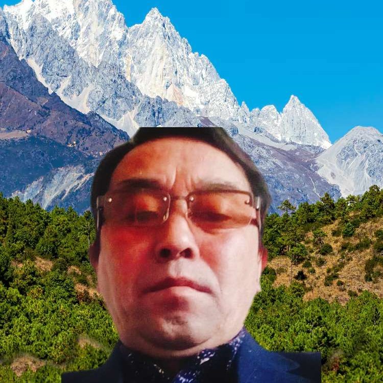 单纯回眸青花的照片