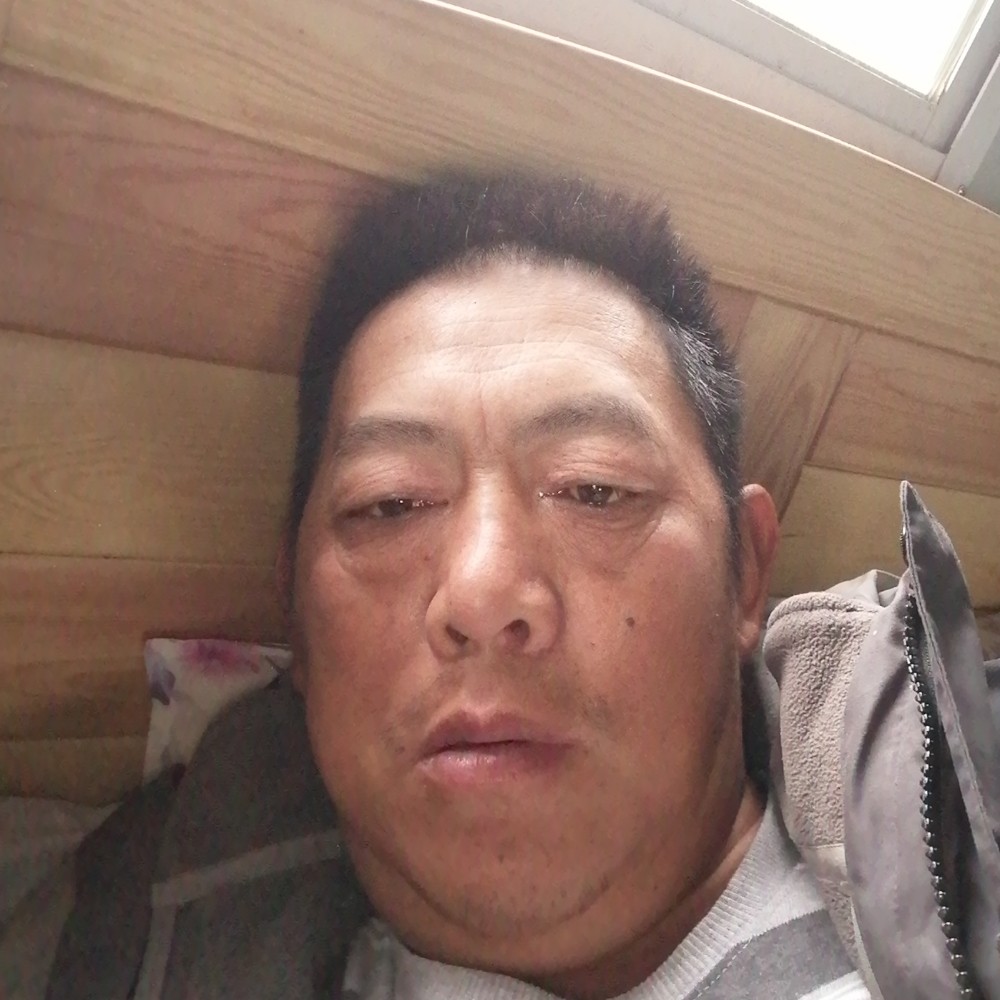 鼠标漫步沉静的照片