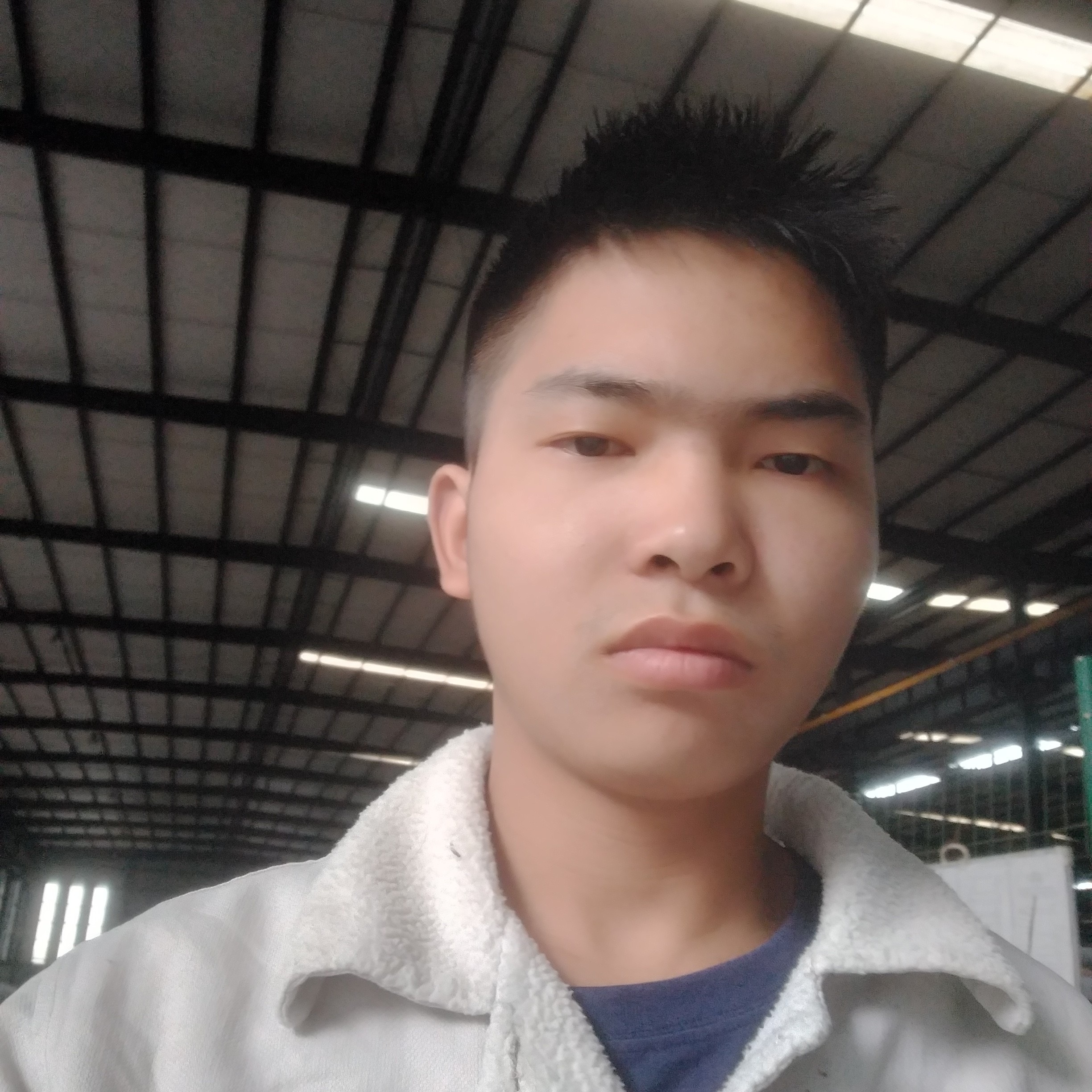 滑板优美的照片