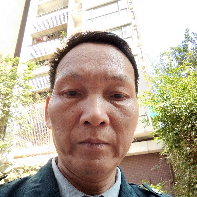 柠檬請飘逸的照片