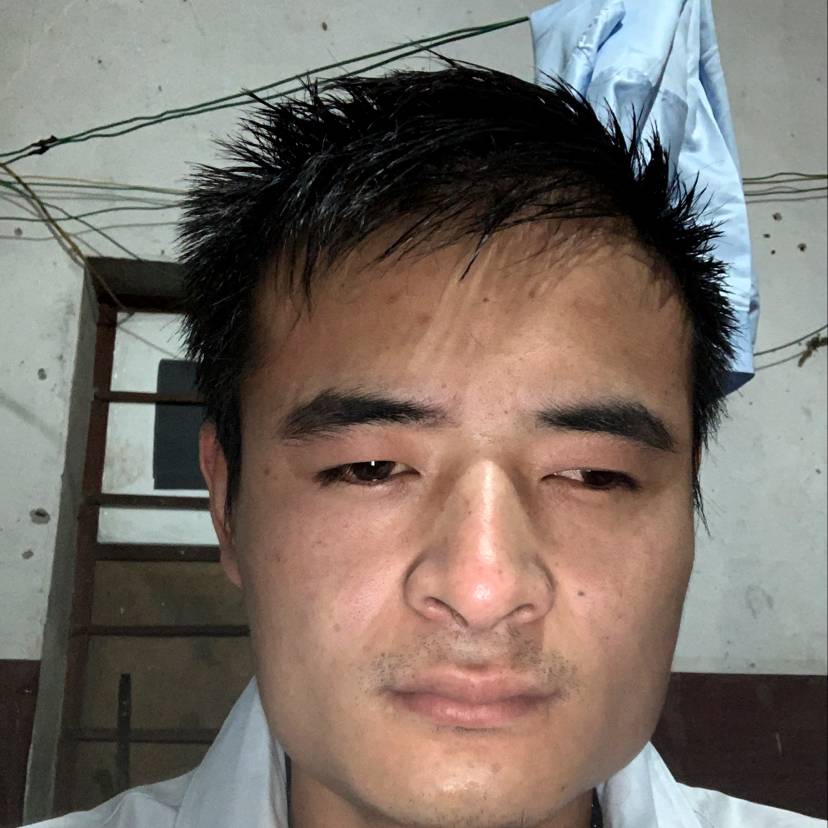草丛等待追寻的照片