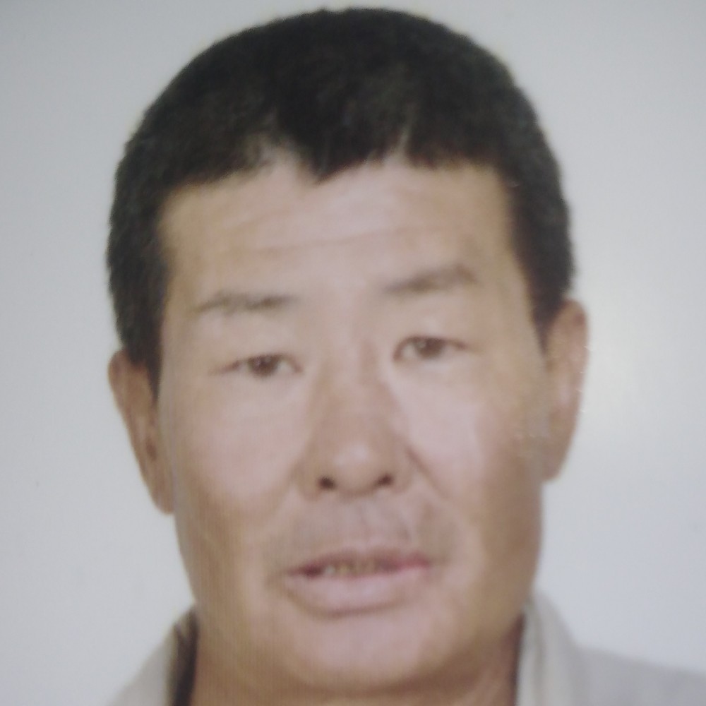 羽毛温暖的照片