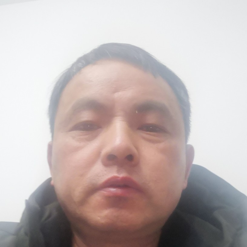 小蜜蜂深拥现代的照片